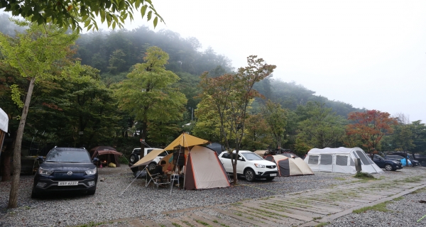 사운드오브뮤직 참가자들이 아침을 맞고 있는 충북 제천의 캠핑사이트.