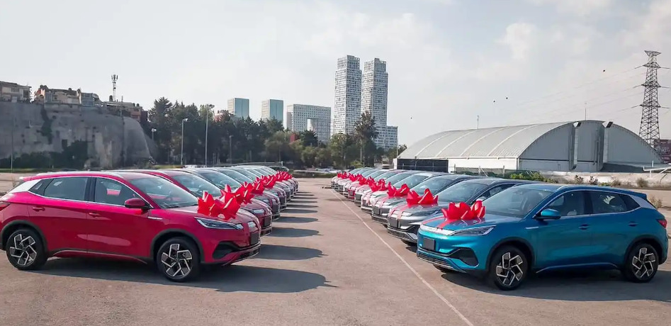 사진 출처: BYD