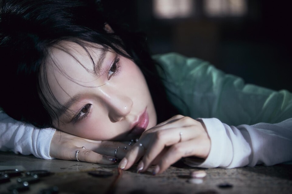 少女時代テヨン日本公演、機材未着で2日前に中止決定 < GLOBAL
