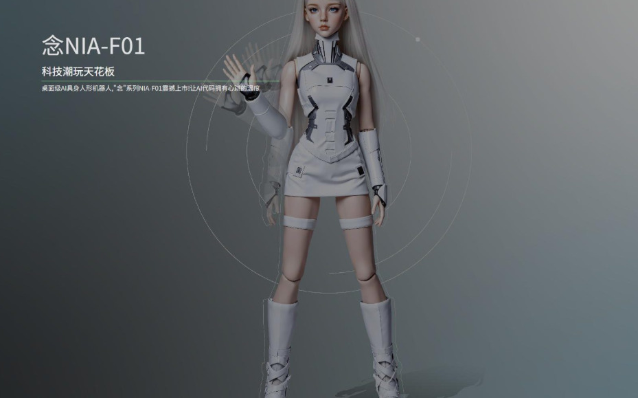 ‘FIGUROBOT,   ‘念NIA-F01’